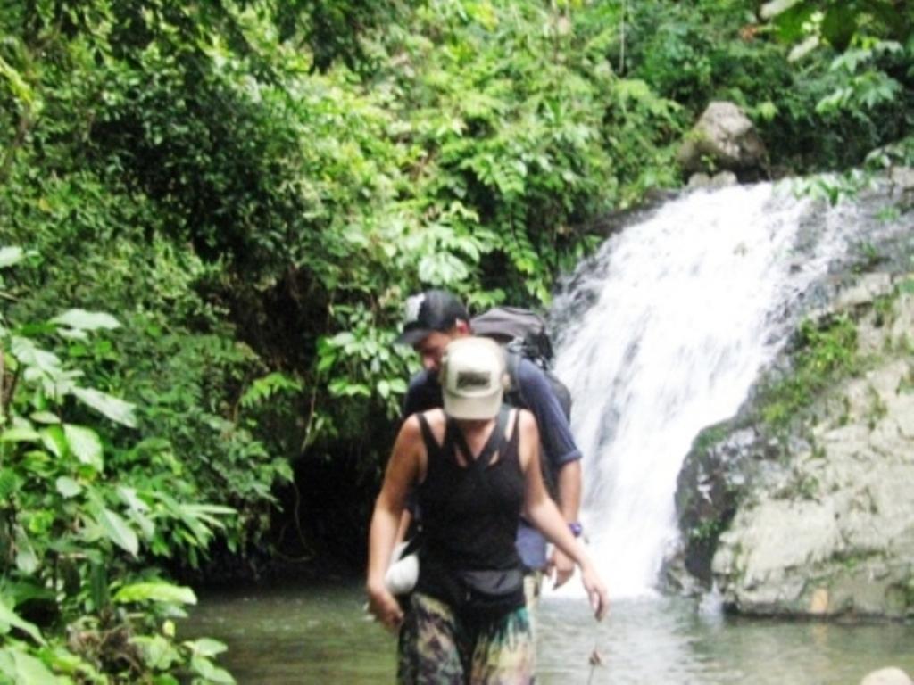 Tranquil Jungle Hut & Trekking Hotell Bukit Lawang Exteriör bild