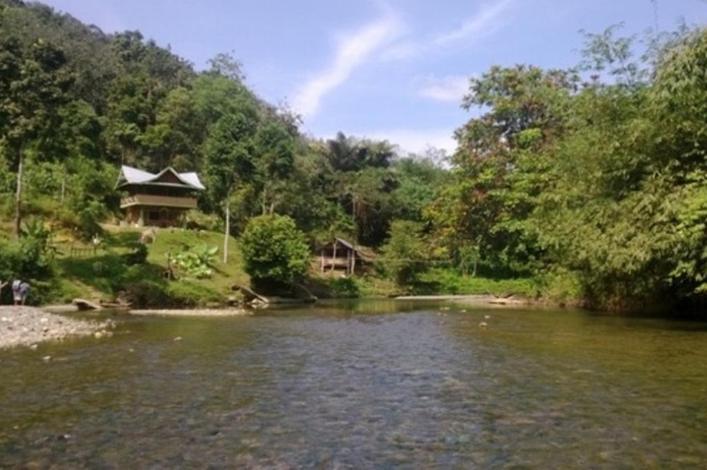 Tranquil Jungle Hut & Trekking Hotell Bukit Lawang Exteriör bild